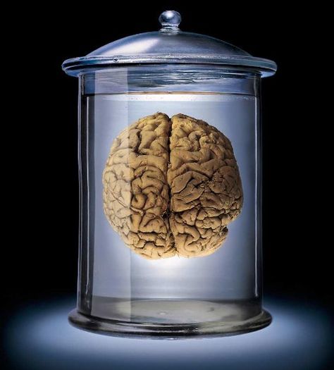 Your Extra-Somatic Brain- Tackle your to do list with a little help O5 Council, Brain In A Jar, Occupational Wellness, Brain Notes, Biology Videos, History Of Psychology, Curtin University, Knowledge Management, Scp Foundation