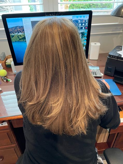 Upper Back Hair Length, Straight Hair Layers Medium Mid Length, Mid Layers Haircut, Layer Mid Length Hair, Long Subtle Layers, Mid Length Straight Hair With Layers, Mid Length Hair Straight, Mousy Brown Hair, Mid Length Straight Hair