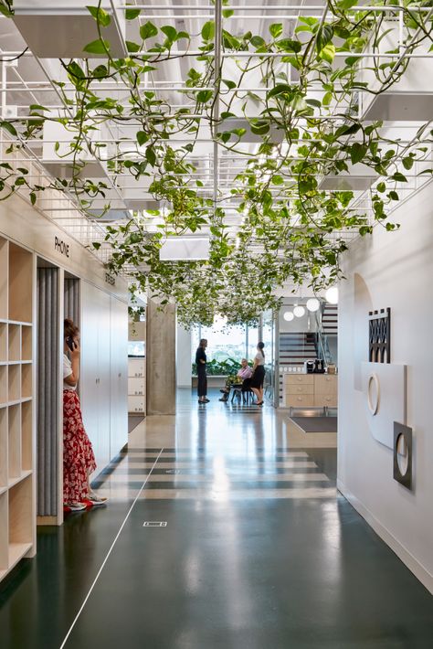 Office Ceiling, Australian Interior Design, Green Office, Interior Design Awards, Biophilic Design, Office Plants, Office Snapshots, Open Office, Workplace Design