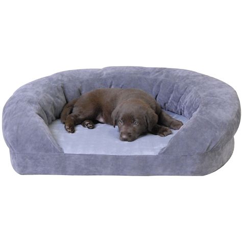 Dog Couch Bed, Medium Dog Bed, Chocolate Labs, Dog Couch, Bolster Dog Bed, Puppy Beds, Dog Kennels, Dog Crates, Covered Dog Bed