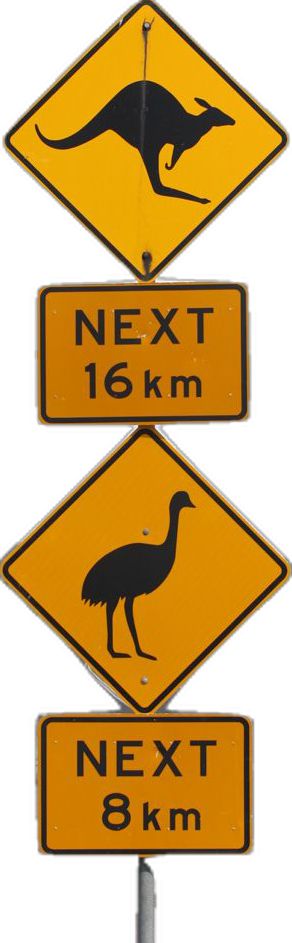 Australian Road Signs, Road Sign, Road Signs, Drive, Australia, Road, Collage, Signs, Travel