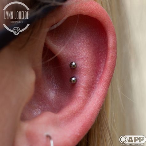 Outer Conch 101 Snake Conch Piercing, Outer Conch Piercing Studs, Contraconch Piercings, Conch Punch, Contra Conch, Triple Conch Piercing, Outer Conch Piercing, Conch Piercing Stud, Outer Conch