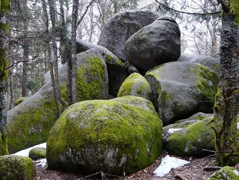 Stone, Forest, Nature, Landscape, Stone Formation, Rock Rock Reference, Boulder Rock, Winter Landscape Photography, Rock Textures, Landscape Photography Nature, Forest Nature, Landscaping With Rocks, Rock Formations, Environment Design