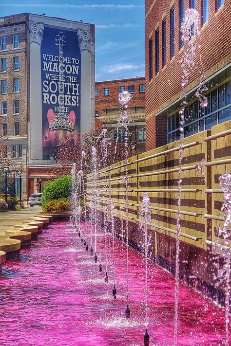 Experience Cherry Blossoms Without the Crowds in Macon, Georgia Mercedes Benz Poster, Yoshino Cherry Tree, Travel Local, Macon Georgia, Macon Ga, Southern Cities, There She Goes, Georgia Travel, Cherry Blossom Festival