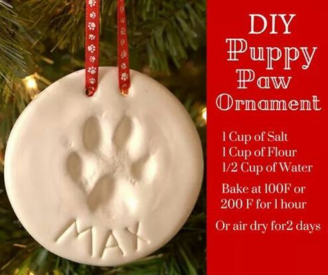 Diy Paw Print Mold, Dog Paw Print Christmas Ornament, Paw Imprint Diy, Cat Paw Print Ornament, Homemade Paw Print Ornaments, Dog Footprint Ornament, Pawprint Ornament Diy, Paw Ornament Diy, Diy Dog Paw Ornament