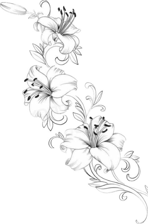 Lily Side Tattoos Women, Flower Stencil Patterns Tattoo, Lotus Floral Design, Pink Lily Flower Tattoo, Star Gazing Lily Tattoo, Lilly And Butterfly Tattoo Ideas, Flower Tattoos Hawaiian, Lily Tattoo Design For Men, Lilly Shoulder Tattoos For Women