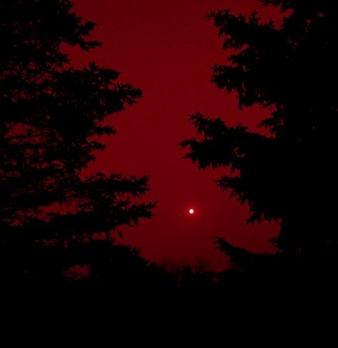 Burgundy Aesthetic, Red Aesthetic Grunge, Moonlight Photography, Red And Black Wallpaper, Dark Red Wallpaper, Red Images, Amoled Wallpapers, I See Red, Red Icons:)