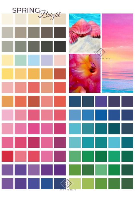 Bright Summer Colour Palette, Clear Bright Spring, Clear Spring Palette, Season Palette, True Spring Color Palette, Warm Spring Color Palette, True Spring Colors, Spring Tones, Spring Bright