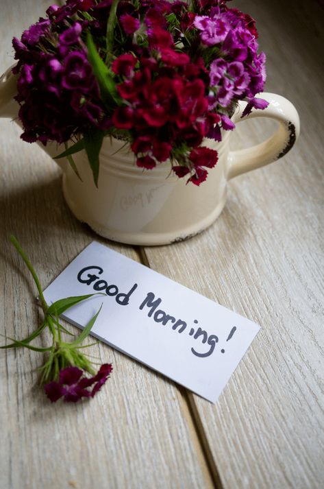 good morning roses images . . . . #morning #goodmorning #goodmorningpost #goodmorningquotes #goodmorningflowers #morning #morningquotes #quotes #quoteoftheday Very Good Morning Images, Good Morning Rose Images, Good Morning Msg, Good Morning Nature, Good Morning Images Hd, Good Morning Roses, Good Morning Wallpaper, Good Morning Flowers Pictures, Good Morning Flowers Gif