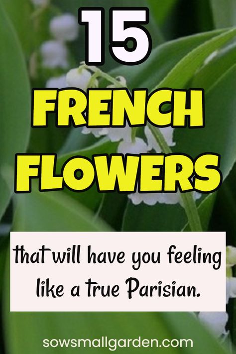 If you love the idea of bringing a little bit of France to your garden, these 15 beautiful French flowers should be on your list. #flowers #gardening #flowergarden French Flower Garden, French Garden Ideas Provence France, French Potager Garden, Provance France, French Garden Ideas, Garden Backyard Design, Vegetable Garden Backyard, France Jewelry, France Flowers