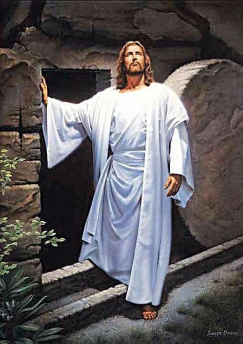 He is risen Jesus Meme, Happy Easter Funny, Catholic Humor, Catholic Memes, Jesus Memes, Christian Jokes, Bible Humor, Jesus Funny, Easter Humor