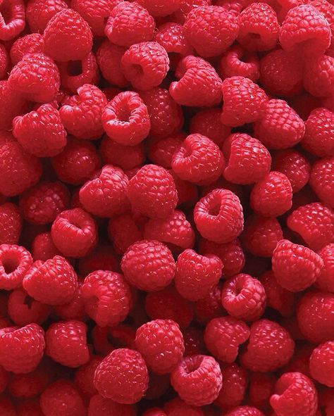 rasberry Fruits And Vegetables Pictures, Growing Raspberries, Raspberry Plants, Vegetable Pictures, Raspberry Seeds, Dessert Aux Fruits, Raspberry Seed Oil, Red Raspberry, Fruit And Veg