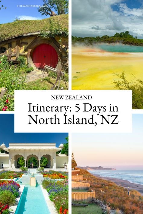 5 Days in North Island New Zealand: Bay of Plenty & Waikato • The Wanderbug Hawkes Bay New Zealand, North Island Nz, Bay Of Plenty New Zealand, Bay Of Islands New Zealand, New Zealand North Island, Tasmania Hobart, Duck Island, New Zealand Cities, North Island New Zealand