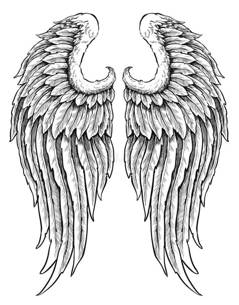 White Angel Wings Tattoo, Black And White Angel Wings, Angel Wing Tattoos, Alas Tattoo, Angel Wings Drawing, Wing Tattoos, Wing Tattoo Designs, Angel Tattoos, White Tattoos