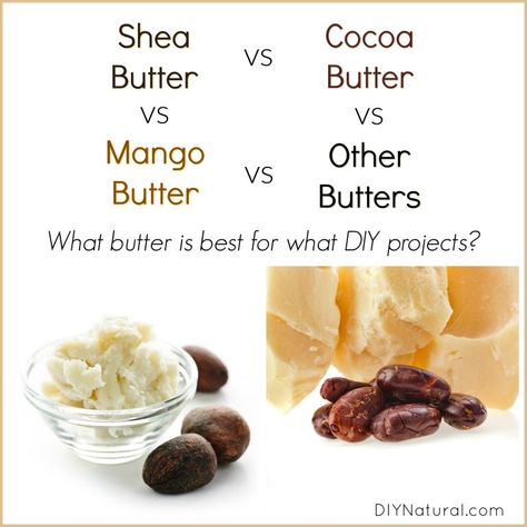 Shea Butter vs Cocoa Butter vs. Other Butters Mango Butter Recipe, Mango Butter Lotion, Mango Butter Benefits, Cocoa Butter Recipes, Body Butter Recipe Whipped, Body Butter Recipe Homemade, Shae Butter, Whipped Coconut Oil, Butter Recipes Homemade