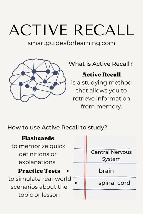 tip for studying minimaldigitalplanner #dinnerplanningtemplate✏️.


Source by Isa_lopez206 Different Studying Methods, How To Use Flashcards, What Is Active Recall, Types Of Study Methods, Active Studying Techniques, Priming Study Technique, How To Create Flashcards, Sqr3 Study Method, Space Repition Method