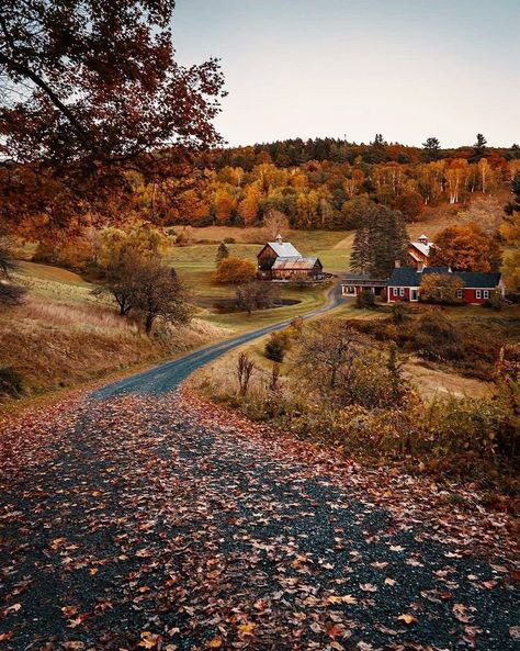 Studera Motivation, Foto Top, Fall Mood Board, Fall Mood, Autumn Scenery, Fall Feels, Cozy Autumn, Fall Pictures, Best Seasons