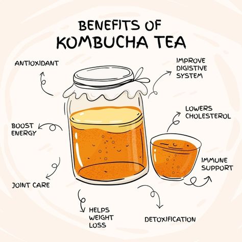 Kombucha Health Benefits, Benefits Of Kombucha, Best Kombucha, Kombucha Benefits, Kombucha Scoby, Homemade Kombucha, Kombucha Recipe, Fermented Tea, Kombucha Tea