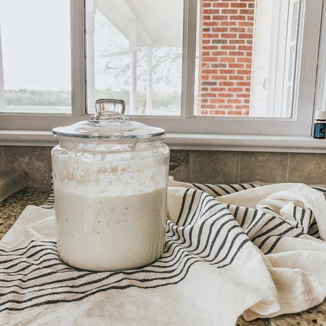 How to Make a Sourdough Starter | Becca Bristow Best Sourdough Starter Recipe, Sourdough Starter From Scratch, Make A Sourdough Starter, Fermenting Jars, Sourdough Bread Starter, Gallon Jars, Making Goals, Farmers Market Recipes, Starter Recipe