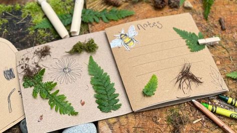 How To Make a Nature Journal With Your Children How To Make A Nature Journal, Preschool Nature Journal, Nature Journaling For Kids, Nature Journal Cover, Hygge Journal, Nature Journal Kids, Diy Nature Journal, Nature Journal Ideas, Vbs 2025