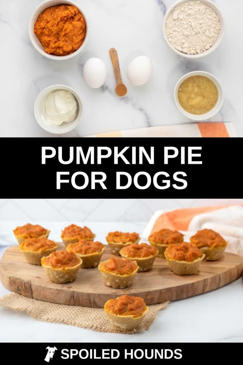 Dog Mini Pumpkin Pies, Mini Dog Pumpkin Pies, Dog Safe Pumpkin Pie, Thanksgiving Dog Treats Easy, Pumpkin Pie For Dogs Recipes For, Dog Sweet Potato Pie, Mini Pumpkin Pie For Dogs, Dog Thanksgiving Dinner Recipes, Dog Friendly Thanksgiving Food