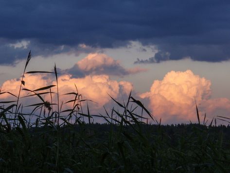 Pretty Sky, Cinematic Photography, Nature Aesthetic, Pretty Places, Sky Aesthetic, Landscape Photos, Aesthetic Photo, Pretty Pictures, Beautiful World