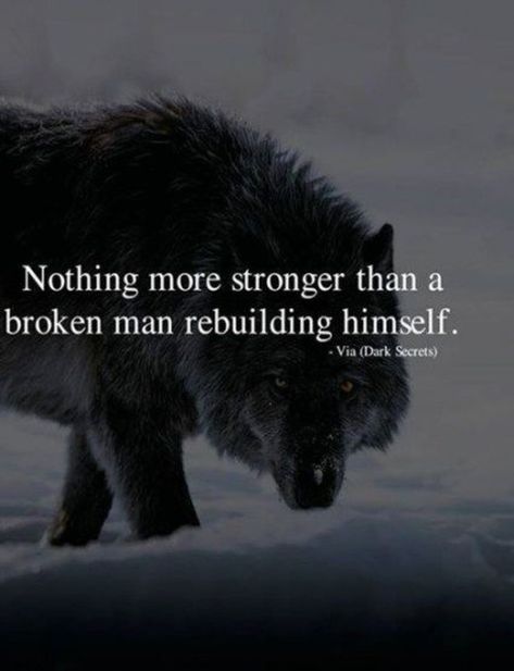 Lone Wolf Quotes, Wolf Quotes, Boxing Quotes, Motivation Positive, 10th Quotes, Warrior Quotes, Super Quotes, Men Quotes, A Wolf