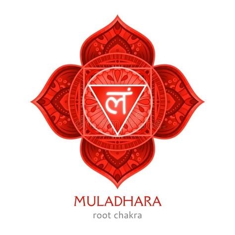 Muladhara, root chakra symbol. Colorful mandala. Vector illustration. Design vector illustration Root Chakra Illustration, Root Chakra Mandala, Root Chakra Art Paintings, Root Chakra Tattoo Symbols, Root Chakra Image, Muladhara Chakra Symbol, Muladhara Chakra Tattoo, Root Chakra Aesthetic, Root Chakra Tattoo