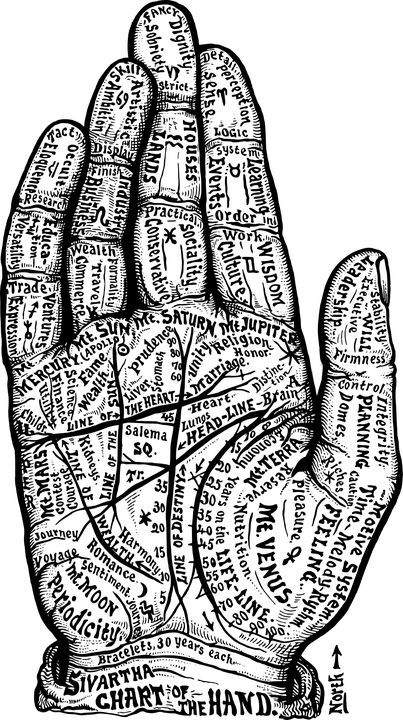 Physiognomy Palm Reading Hand - Free vector graphic on Pixabay Botanical Printables, Brain Mapping, Vintage Cartoons, Esoteric Art, Palm Reading, Occult Art, Antique Illustration, Poster Retro, Witchy Stuff