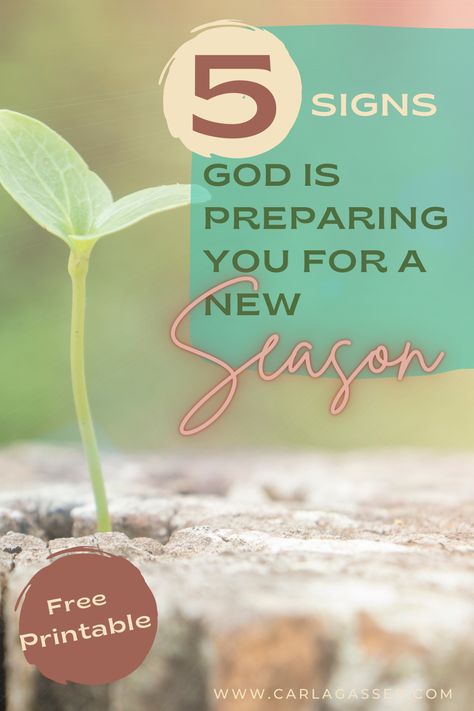 Learn the 5 signs that God may use to help you know that you are in a new season. FREE PRINTABLE resource guide included! Created For A Purpose, What Do You Hear, Need A Change, Soul Care, Study Resources, Say That Again, Bible Study Notes, The Crossroads, Foster Parenting