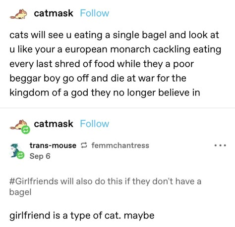 Cats Tumblr, Funny Tumblr Posts, Funny Tumblr, Haha Funny, Text Posts, Tumblr Funny, Writing Inspiration, Tumblr Posts, Writing Prompts