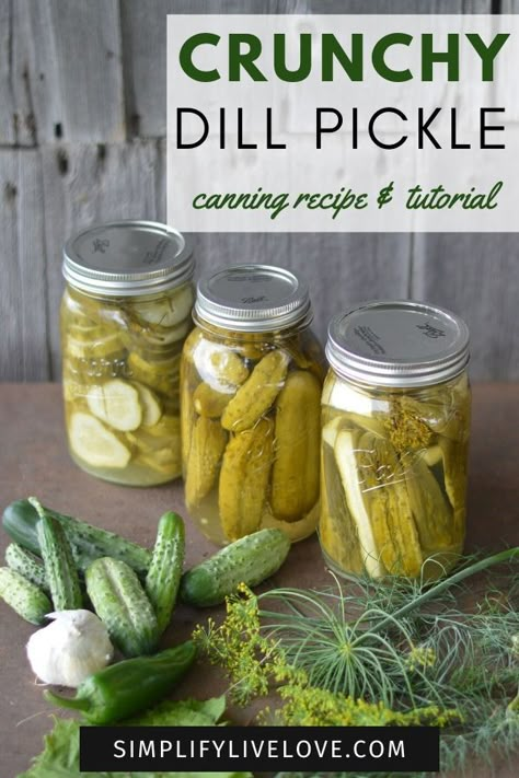 Canned Cucumbers, Canning Tutorial, Crunchy Pickles, Garlic Dill Pickles, Pickles Canning, Homemade Pickles Dill, Dill Pickle Recipe, How To Make Pickles, Canning Process