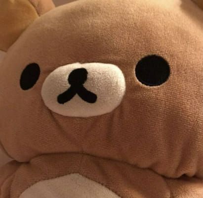 Browncore Aesthetic, Brown Layout, Brown Pfp, Brown Widget, Widget Ideas, Bear Animal, Phone Ideas, Soft Brown, Beige Aesthetic