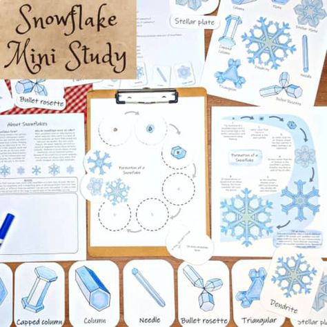 Snowflake Mini Study: learn about the formation and types of snowflakes! Snowflake Stem, Types Of Snowflakes, Nature Learning, Elementary School Science, Homeschool Nature, Winter Unit, Nature School, High School Classes, Unit Studies