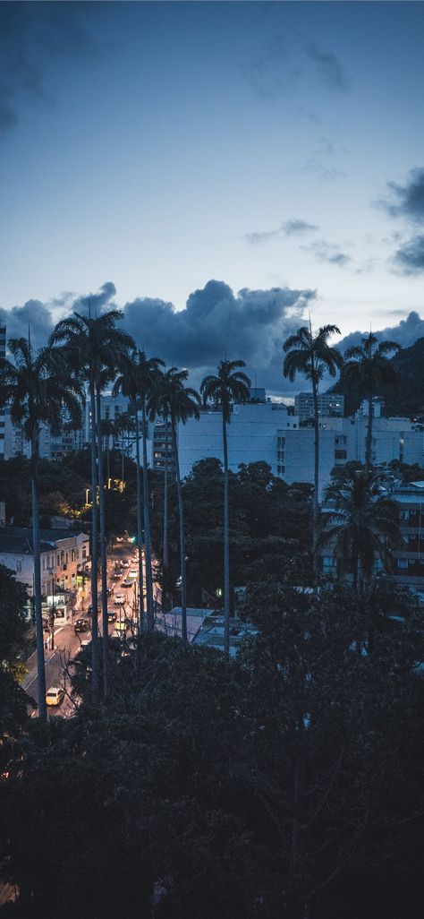 Sunset in Rio #StateofRiodeJaneiro #brazil #palmtree #unsplash #androidwallpaper #android #iPhoneXWallpaper Iphone Xs Max Wallpaper Hd, Xs Max Wallpaper, Chat Wallpaper Whatsapp, Chat Wallpaper, New Live Wallpaper, Food Iphone, Whatsapp Background, Wallpaper Whatsapp, Free Wallpaper Backgrounds