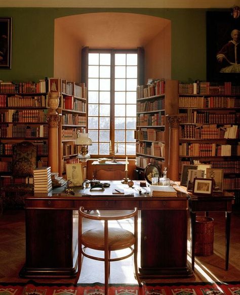 Professor Office, Library Study Room, Futurist Architecture, Cozy Home Library, Library Interior, Home Office Library, Office Aesthetic, Library Study, Dream Library