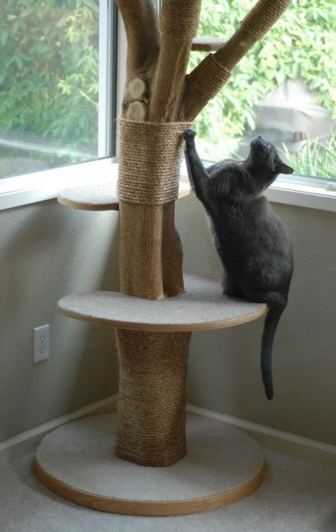 14 Cat Tree Ideas, Katt Diy, Katt Grejer, Kat Diy, Chat Diy, Cat Projects, Cat Tree House, Diy Cat Tree, Diy Cat Toys