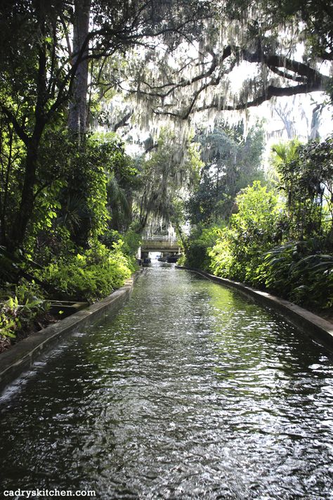 Winter Springs Florida, Winter Park Orlando, Winter Garden Florida, Winter Haven Florida, Florida Parks, Florida Aesthetic, Things To Do In Orlando, Orlando Trip, Winter Park Florida