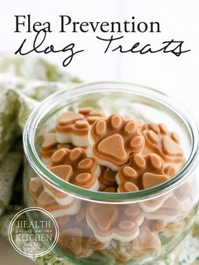 Make Dog Treats, Coconut Oil For Fleas, Pet Recipes, Animal Treats, Doggy Treats, Flea Prevention, Tick Prevention, Doggie Treats, Pet Ideas