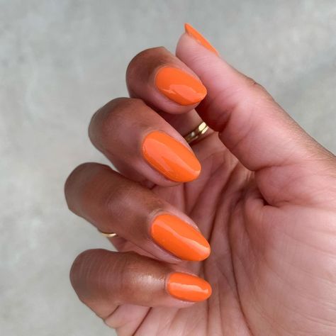 The Mani Club on Instagram: “Woke up feeling like a ten today. Color: You’re A 10” Nail Polish Shades, Coral Nails, New Nail Polish, Olive And June, Nail Art Kit, Light Rose, Smell Fresh, Orange Nails, New Nail