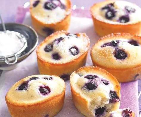 Blueberry and lemon friands Friands Recipe, Weekly Recipes, Healthy Food Guide, Cakes Slices, Almond Meal, Small Cakes, Recipe Sweet, Blueberry Recipes, Blueberry Muffins