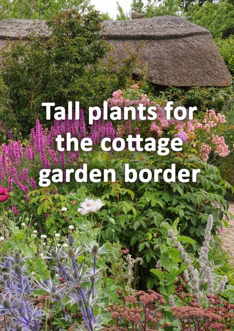 Cottage Garden Diy, Small Border Garden, English Garden Border, Country Garden Borders, Tall Border Plants, English Garden Border Ideas, Cottage Garden Border Plan, Fairy Cottage Garden, Beautiful English Gardens