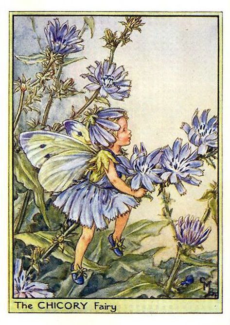 Fairy Drawings, Fairy Illustration, Fairy Pictures, Cicely Mary Barker, Fairy Artwork, Vintage Fairies, Flower Fairies, Fairytale Art, Fairy Angel