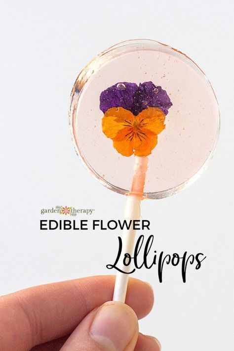 A Sweet Garden Party Treat: Edible Flower Lollipops. Celebrate the blooming flowers of the season by making these edible flower lollipops for your next party. Simply pluck a few violas from your garden and let’s make lollies. #gardentherapy #lollipop Flower Lollipops, Lollipops Recipe, Lollipop Recipe, Flower Desserts, Edible Flowers Recipes, Flower Party, Flower Food, Beltane, Garden Parties