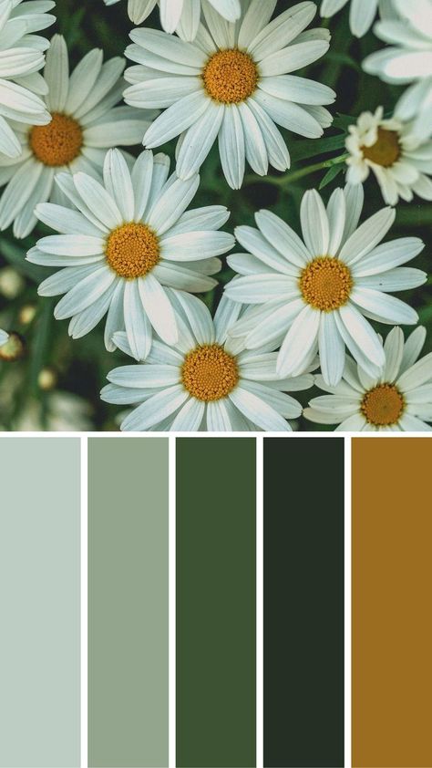 Daisy Natural Color Palette Earth Tones Natural Color Palette Earth Tones, Color Palette Earth Tones, Earth Colour Palette, Earth Tone Palette, Earth Tone Wedding, Earth Tone Color Palette, Natural Color Palette, Pantone Colour Palettes, Earth Tone Color