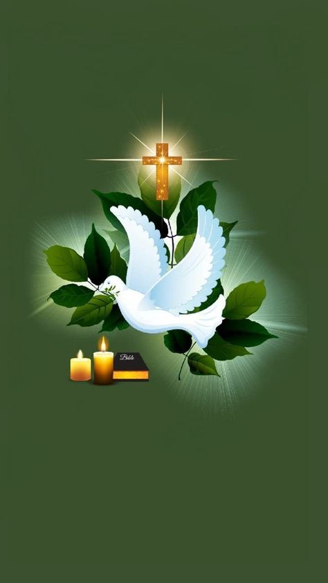 Jesus Cross Wallpaper, Dove Images, Jesus Is The Only Way, Dove Pictures, Mary Pictures, Cross Wallpaper, Photos Wallpaper, Easter Wallpaper, Way To Heaven