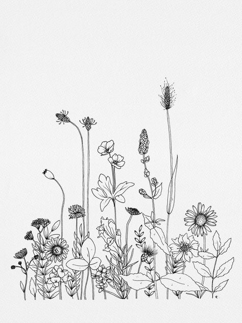 Wildflower Drawing, Flower Line Drawings, Flower Sketches, Floral Drawing, Pola Sulam, 자수 디자인, Flower Doodles, Line Drawings, Line Art Drawings