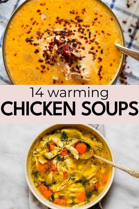 Warm your soul with these comforting chicken soup recipes. Whether you're feeling under the weather or craving a cozy meal, these hearty dishes are sure to hit the spot. From classic chicken noodle soup to spicy chicken tortilla soup, there's a recipe here for every taste bud. Grab your ingredients and get ready to simmer up some deliciousness in your kitchen. These easy-to-follow recipes will make you a champion in the kitchen and have everyone asking for seconds. Best Chicken Noodle Soup Recipe When Sick, Best Soup Recipes Ever Chicken, Soups With Cooked Chicken, Roast Chicken Soup Recipes, Tomato Chicken Noodle Soup, Chicken Soup Variations, Soup Made With Chicken Broth, Different Chicken Soup Recipes, Fall Chicken Soup Recipes