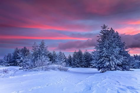 Winter Horizontal, Winter Photography Nature, Awsome Pictures, Winter Landscape Photography, Earth Beautiful, Blue Morning, Christmas Landscape, Snow Pictures, Snow Photography