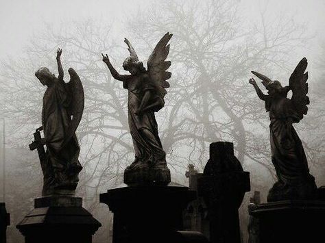 Supernatural Angels, Angel Aesthetic, City Of Bones, Gothic Aesthetic, Dark Angel, Non Fiction, Pics Art, Graveyard, Black Aesthetic